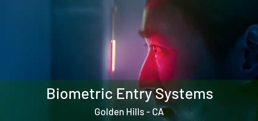 Biometric Entry Systems Golden Hills - CA