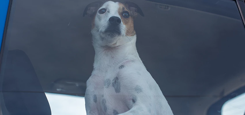 Car Lockout Solutions in Golden Hills, California