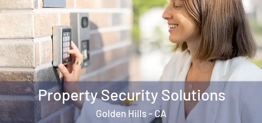 Property Security Solutions Golden Hills - CA